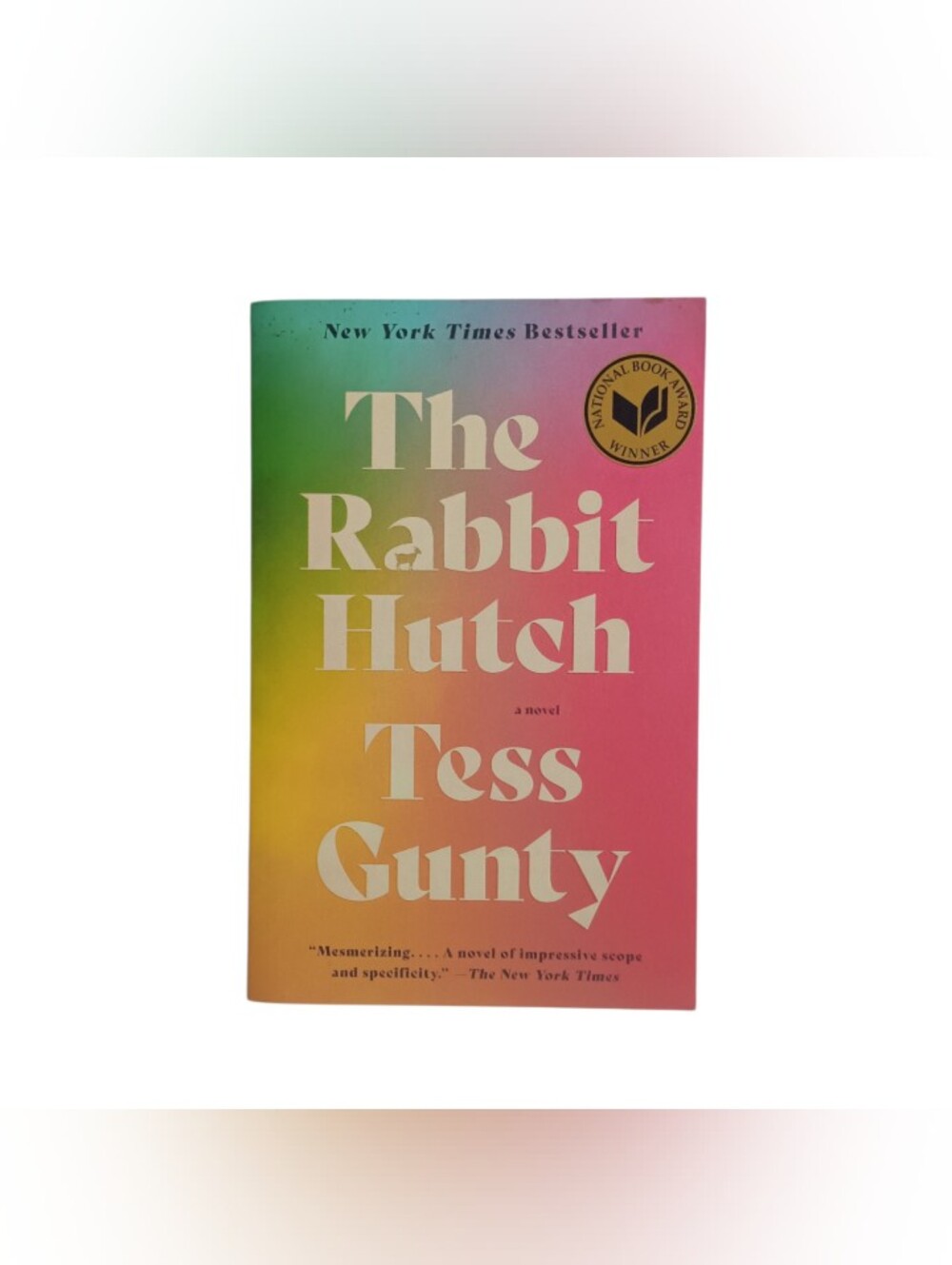 The Rabbit Hutch book by Tess Gunty Trade Paperback